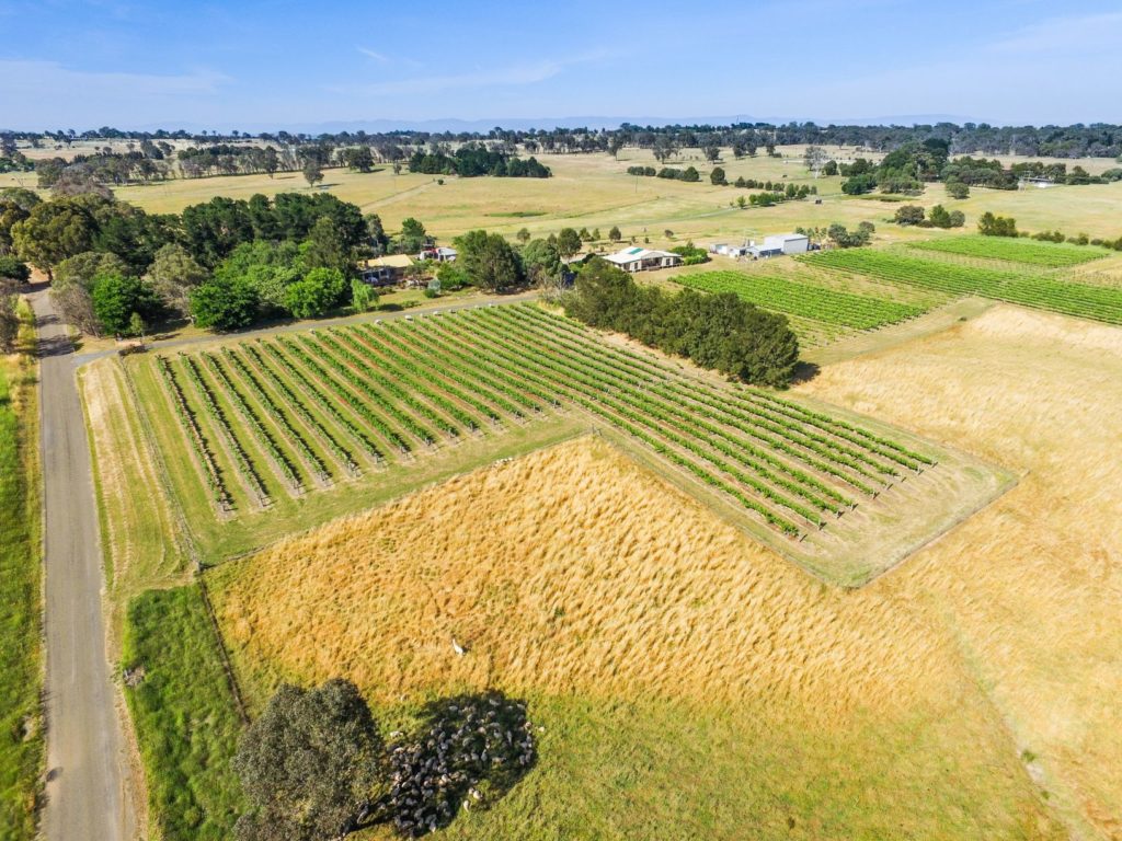 Aerial photo of vineyards
